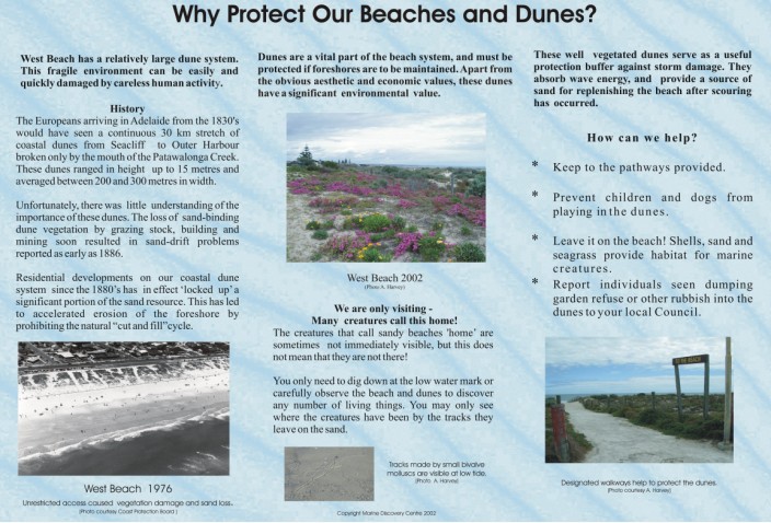 2beachprotectionWB.jpg