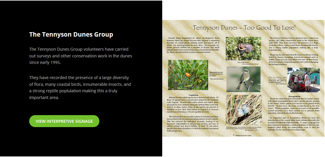 4. Tennyson Dunes Group.PNG