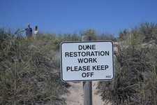 dune restoration.png