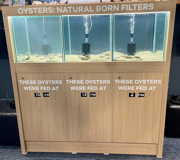 Oyster tanks.jpg